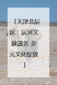 天津北辰区：运河文脉滋养 多元文化绽放